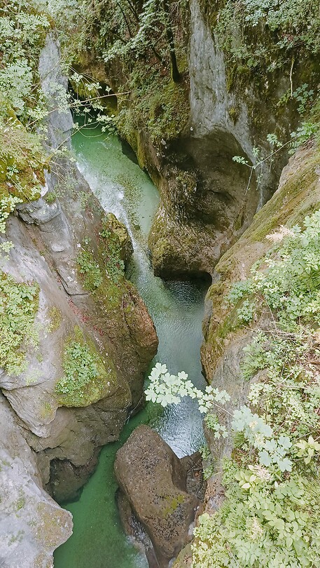 IMG-20230628-WA0002