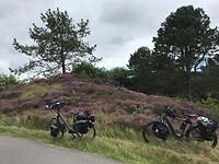 Callantsoog