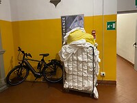 Koga in de wasstraat
