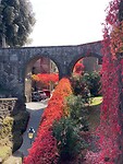 Vignanello