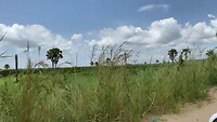 IMG_3756