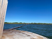 IMG_7239