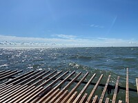IMG_7243