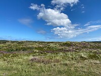 IMG_7246