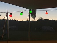 IMG_7258