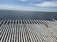 image005