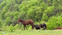 IMG_9843