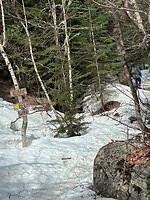 IMG_0204