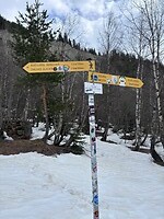 IMG_0209