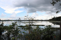 6174593136_IMG_1063