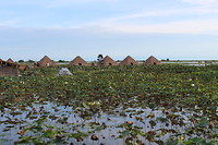 6174670096_IMG_1077