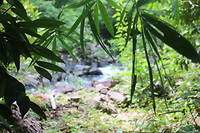 6174642496_IMG_1191