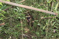 6174642496_IMG_1189