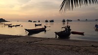 IMG_0486