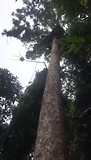 Abseil 40 meter