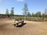 Reindeer Farm onderweg