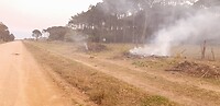 de gft wordt verbrand