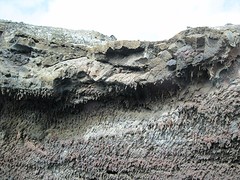 Lanzarote
