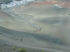 Lanzarote