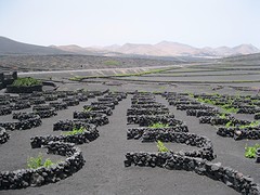 Lanzarote