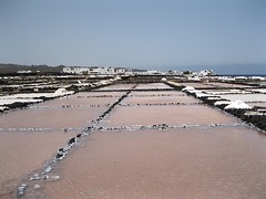 Lanzarote
