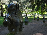 everzwijnen