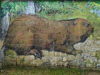 le sentier du passeur