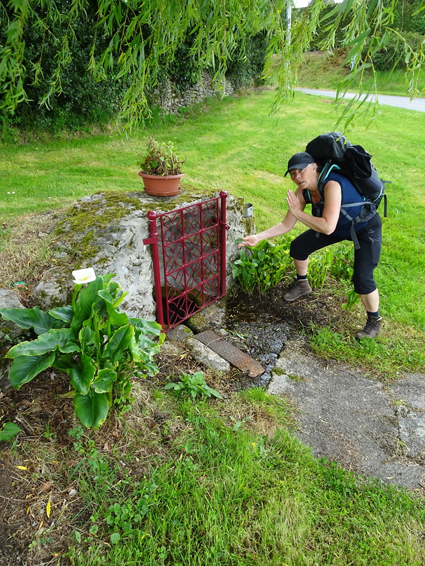 pelgrimswensput, 20 cent er in