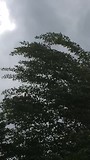 video van de wind