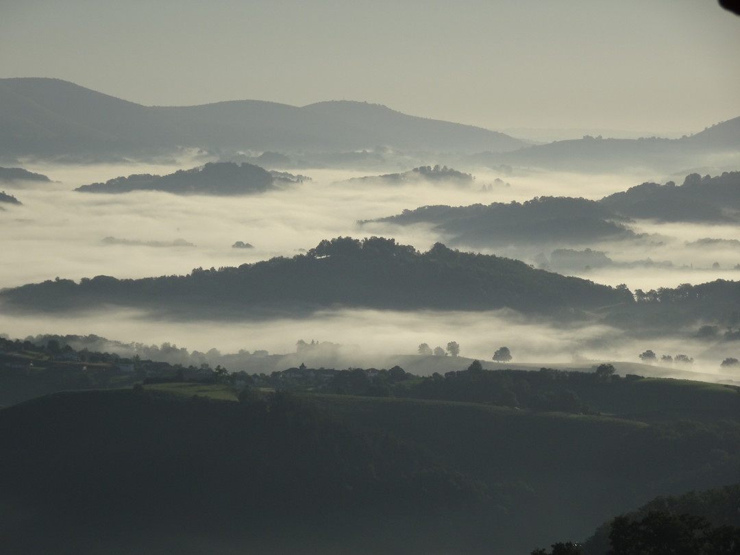 mist / wolken