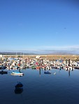 haven fisterra