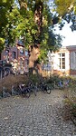 IMG_0486