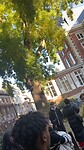 IMG_0484