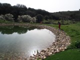c153 golf Cabanillas de la Sierra