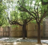 o46 San Joan de les Abadesses