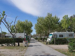 d02 camping Don Cactus in Carchuna