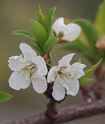 d43 omgeving Ítrabo