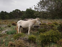 d54 Parque natural bij Cortijo de los Prades