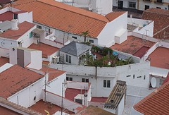 d122 tuin in Salobreña