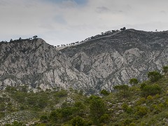 d52 Parque natural bij Cortijo de los Prades