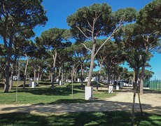 e004 camping Pinar San José, Los Caños de Meca