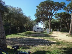 e005 camping Pinar San José, Los Caños de Meca