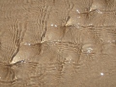 e015 Los Caños de Meca