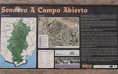 e020 A Campo Abierto