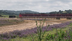 e027 de arena, A Campo Abierto