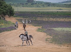 e030 A Campo Abierto