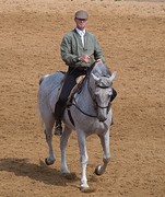 e042 Spaanse dressuur, A Campo Abierto
