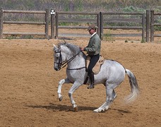 e044 Spaanse dressuur, A Campo Abierto