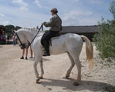 e056 prachtig paard en amazone, A Campo Abierto