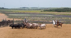 e073 de zware jongens, A Campo Abierto - kopie
